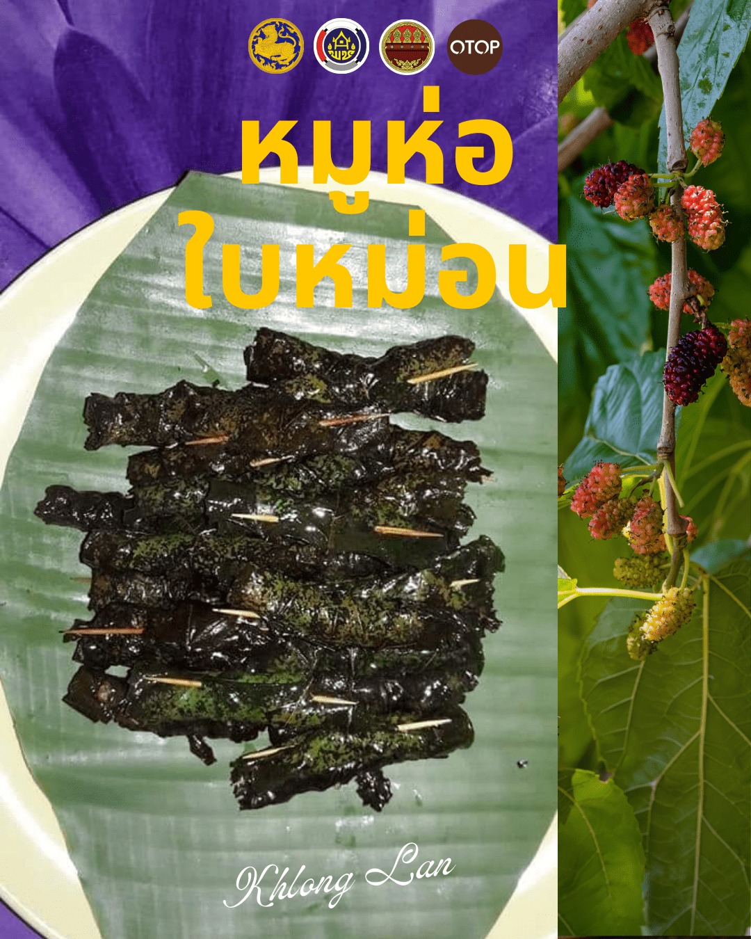 🐷🌿 ชวนเที่ยว ชิม ช้อป นวัตวิถีคลองลาน ลิ้มลอง “หมูห่อใบหม่อน” เมนูพื้นถิ่นชาวม้ง จังหวัดกำแพงเพชร 🌿🐷